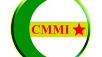 Logo CMMI Logo CMMI