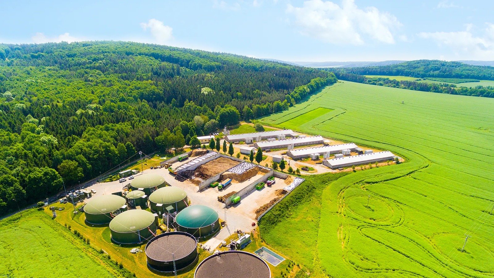 Asosiasi Produsen Biofuel Indonesia APROBI