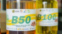 Ilustrasi B50 Ilustrasi B50
