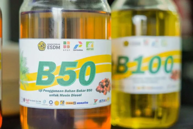Ilustrasi B50